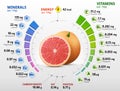 Vitamins and minerals of grapefruit fruit