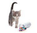 Vitamins for pets. Cute kitten and bottle with different pills on white background Royalty Free Stock Photo