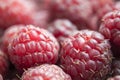 Vitamins. Summer berries. Raspberries background. Close up, selective focus Harvest Concept