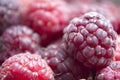 Vitamins. Summer berries. Raspberries background. Close up, selective focus Harvest Concept