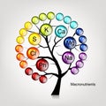 Vitamins tree concept for your design