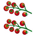 Vite tomato