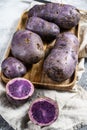 Vitelotte raw potato on a chopping Board. Gray background. Top view Royalty Free Stock Photo