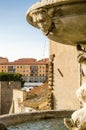 Una fontana di Viterbo