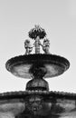 Viterbo -Italy- Fountain of Palazzo dei Priori black and white