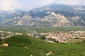 Viticulture along the Adige, Italian Dolomites Royalty Free Stock Photo
