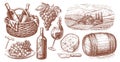 Viticulture concept vintage illustration. Collection of hand drawn sketches. Wine set Royalty Free Stock Photo