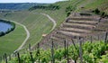 Viticulture in steep slopes in southern Germany