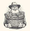 Farmer with a basket of grapes drawn in vintage engraving style. Viticulture, vineyard sketch. Vector illustration
