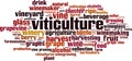 Viticulture word cloud Royalty Free Stock Photo