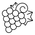 Vitis grape icon, outline style