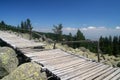 Vitosha on feet