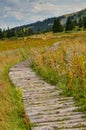 Vitosha mountain