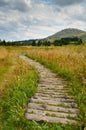 Vitosha mountain Royalty Free Stock Photo