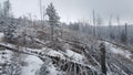 Vitosha Ski Resort