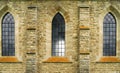 Vitrage windows of ancient abbey