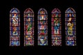 Vitrages of Chartres cathedral Royalty Free Stock Photo
