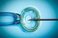 In vitro fertilisation, IVF macro concept