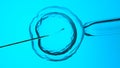 In vitro fertilization or artificial insemination, 3D-rendering Royalty Free Stock Photo