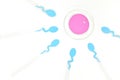 In vitro fertilization concept. Sperm and egg cell on test tube and petri dish in laboratory. Royalty Free Stock Photo