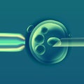 In vitro fertilization IVF , the egg ovum , pipette and pipe horizontal