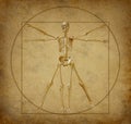 Vitruvian-human-diagram-grunge