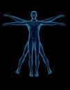 Vitruvian Man Royalty Free Stock Photo