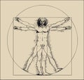 Vitruvian man with crosshatching and sepia tones