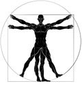 Vitruvian Man Da Vinci Style Figure