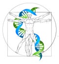 Vitruvian Man DNA