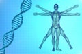 Vitruvian man with DNA Royalty Free Stock Photo