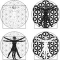 Vitruvian man with the flower of life Royalty Free Stock Photo