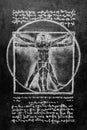 Vitruvian Man ÃÂhalk drawing