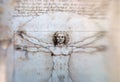 Vitruvian Man - Leonardo Da Vinci Royalty Free Stock Photo