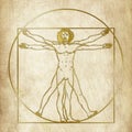 Vitruvian man, Leonardo Da Vinci, graphic elaboration Royalty Free Stock Photo