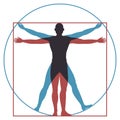 Vitruvian man. Leonardo da vinci human body perfect anatomy proportions in circle and square. Vector silhouette Royalty Free Stock Photo
