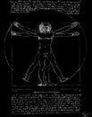Vitruvian Man by Leonardo Da Vinci - Illustration Silver on Black Royalty Free Stock Photo