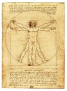 Vitruvian Man by Leonardo Da Vinci