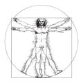 Vitruvian Man by Leonardo Da Vinci Royalty Free Stock Photo