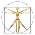 Vitruvian mannequin Royalty Free Stock Photo