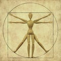 Vitruvian mannequin Royalty Free Stock Photo