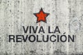 Viva La Revolucion Graffiti Royalty Free Stock Photo