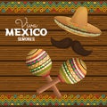 Viva mexico poster icon