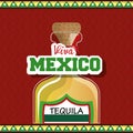 Viva mexico poster icon