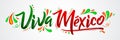 Viva Mexico, traditional mexican phrase holiday, lettering Royalty Free Stock Photo