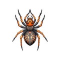 Vivid Artwork of Corythalia Arachnid Royalty Free Stock Photo