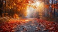 Vivid autumn forest path with sunlit leaves, sharp details for scenic photography Royalty Free Stock Photo