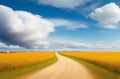 Vivid Autumn Rural Landscape: Panoramic Field, Dirt Road, and Cloudy Sky.