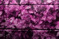 Pink/purple patterned glazed kitchen tiles in closeup view