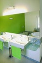 Vivid bathroom in a green mosaic Royalty Free Stock Photo